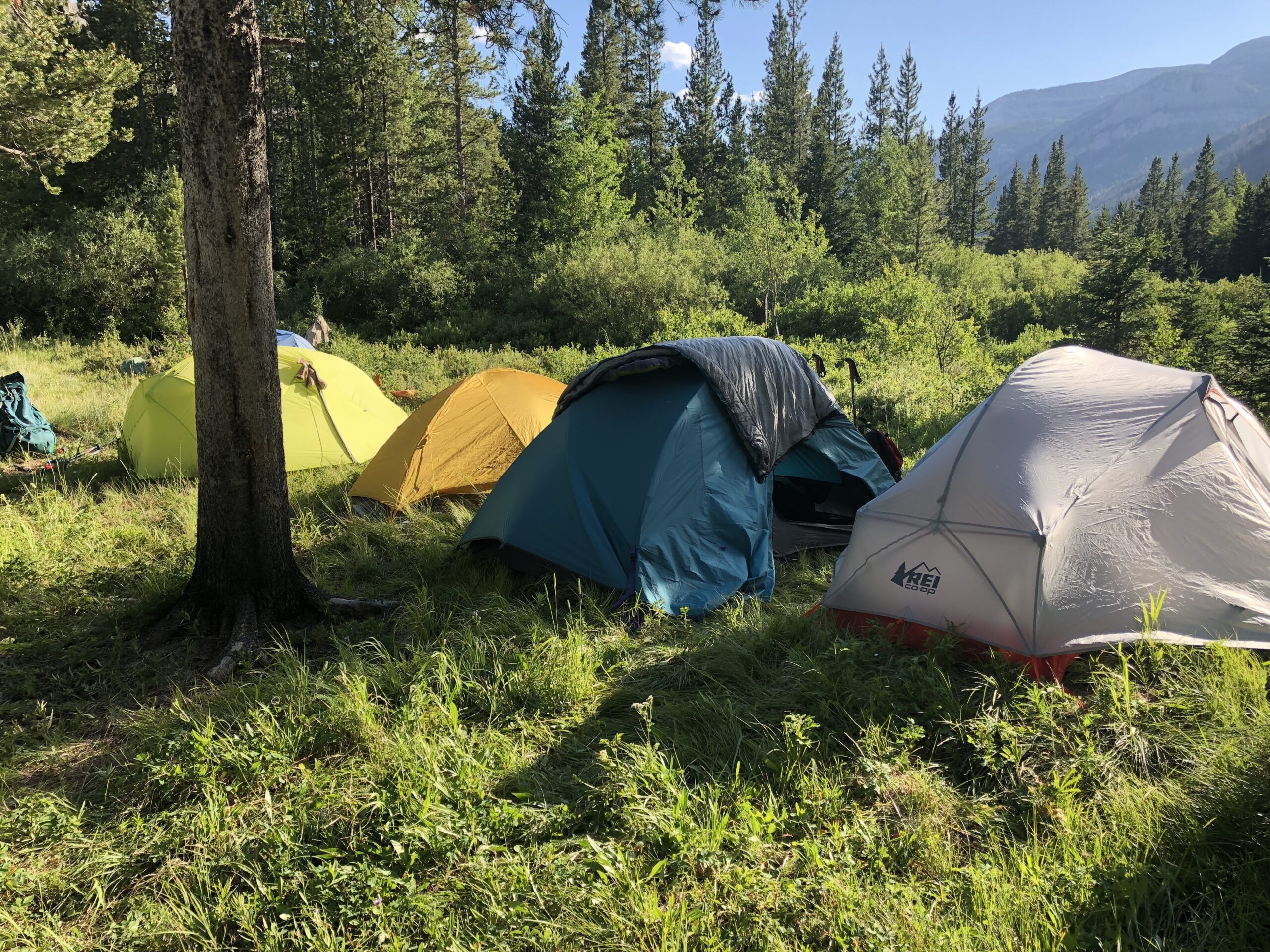 Backcountry for Beginners