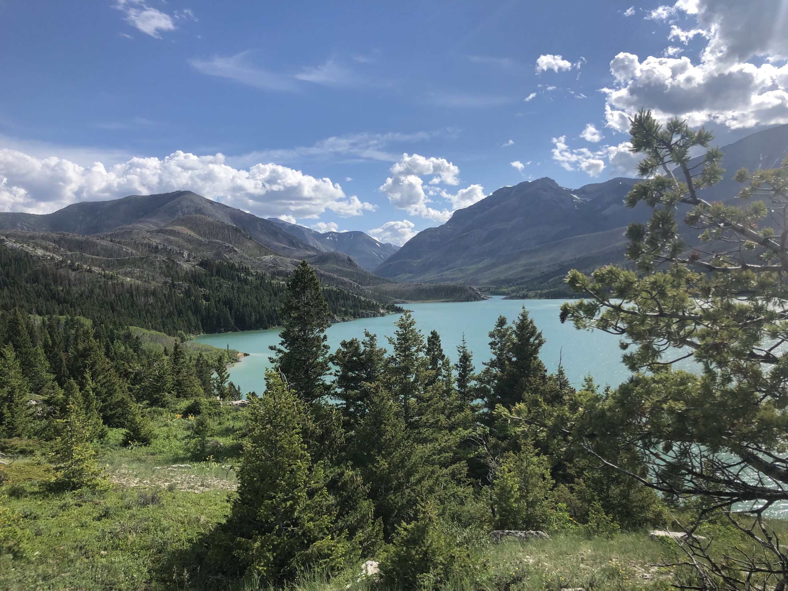 Welcome to our Circus Creek Camp