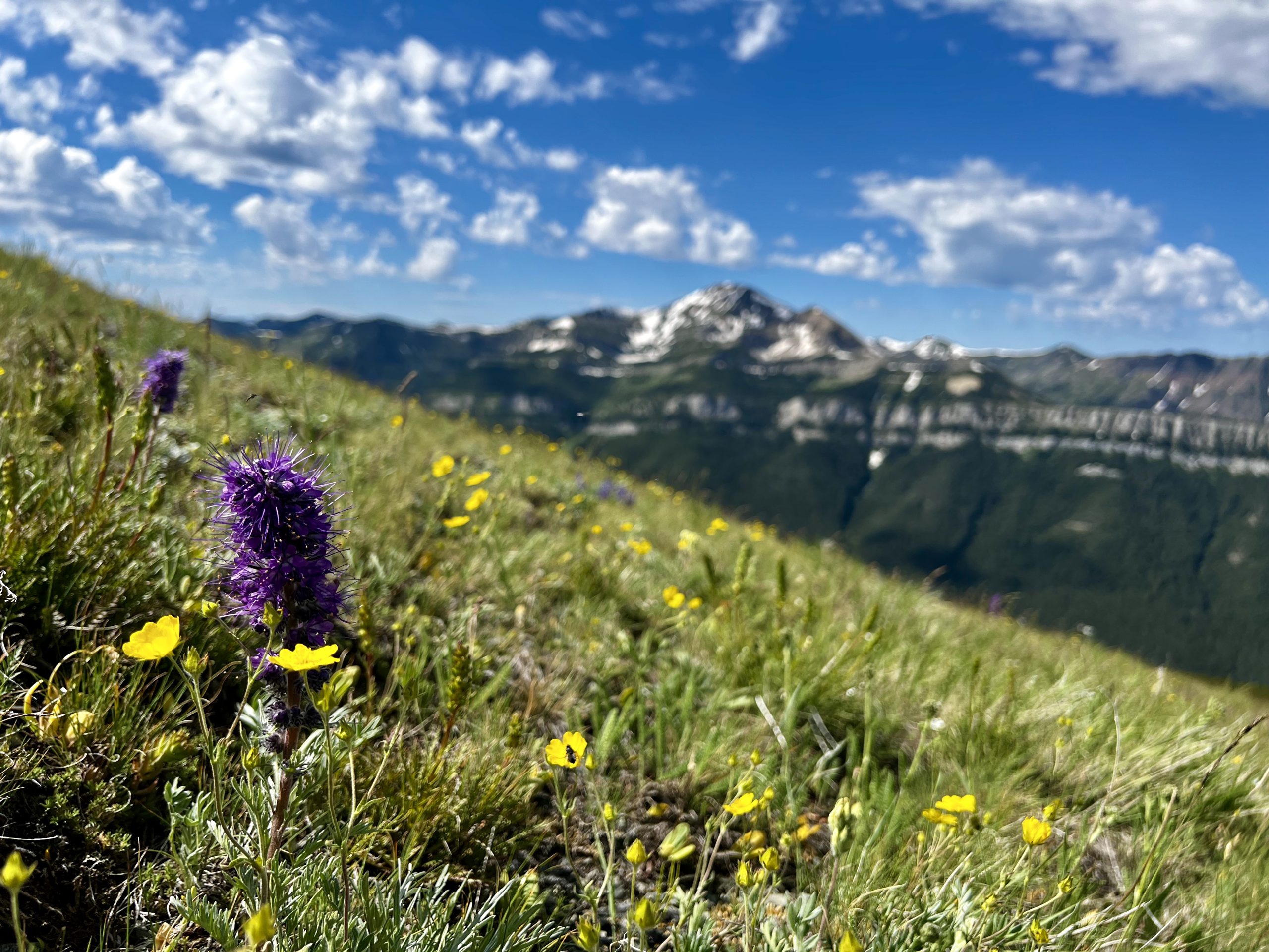 2023 Trip Application and Drawing Process