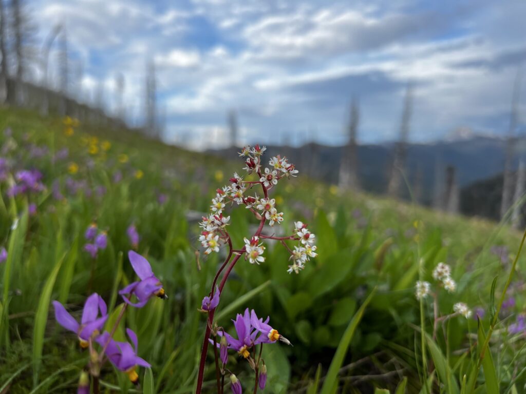 2023 Trip Openings and Season Updates